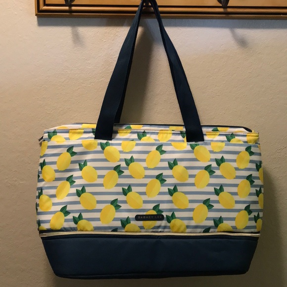 dabney lee expandable lunch bag